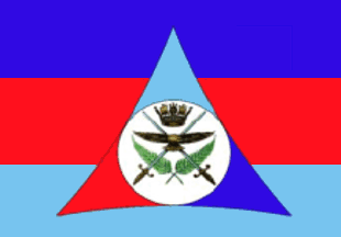 [Joint Forces flag]
